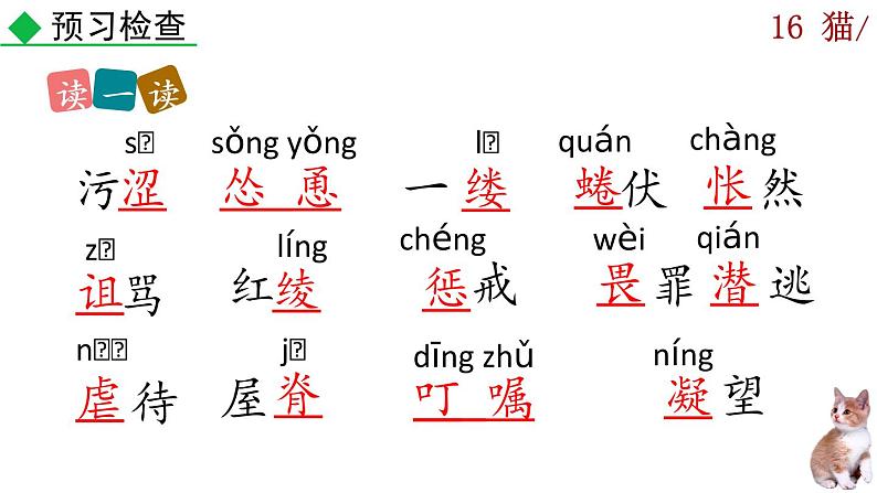 16《猫》课件07