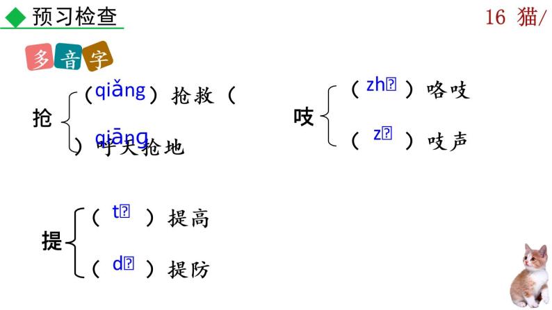 16《猫》课件08