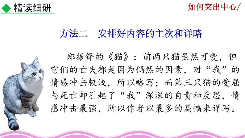 写作《如何突出中心》课件05