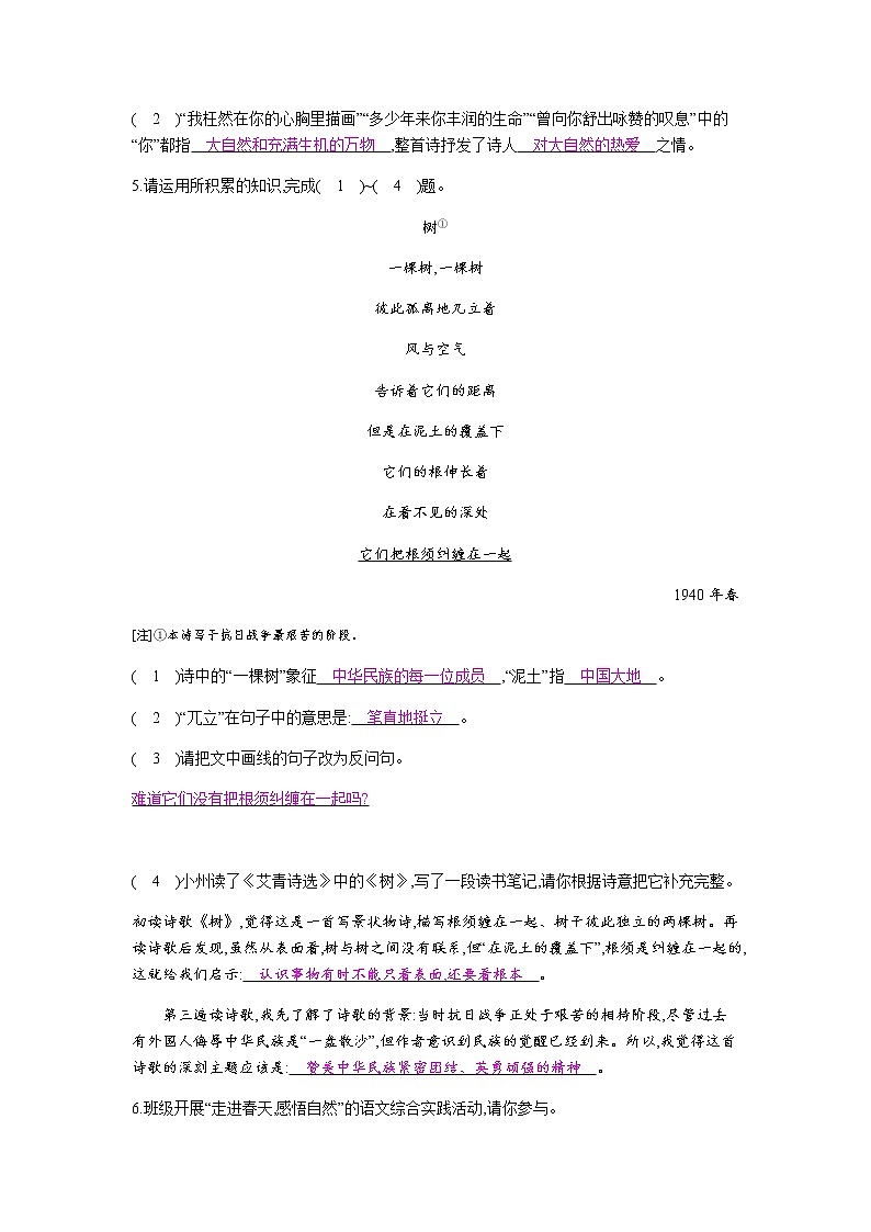 （2020年秋）人教版九年级上语文第6课  我看 课件教案练习02