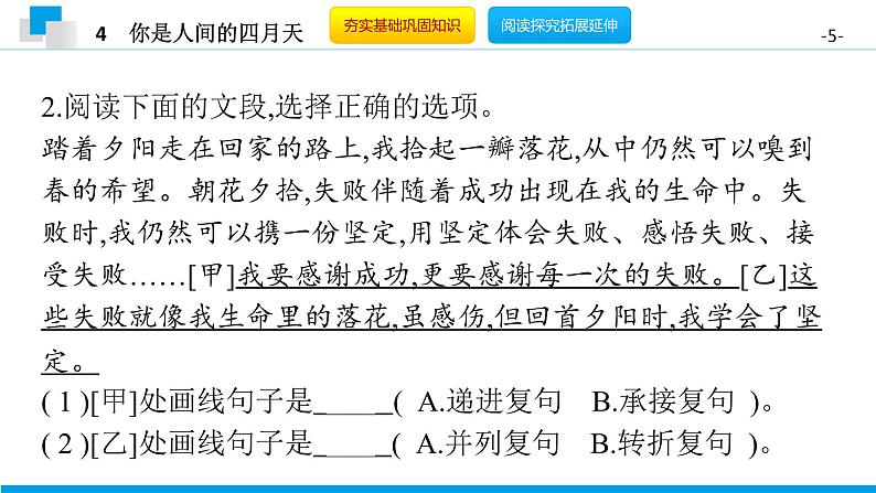（2020年秋）人教版九年级上语文第5课  你是人间的四月天 课件教案练习05