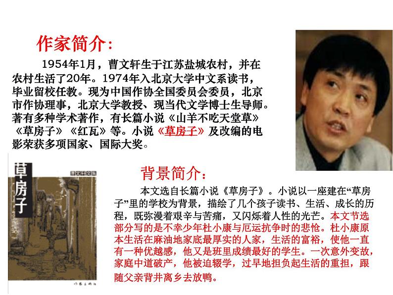 （2020年秋）人教版九年级上语文第17课  孤独之旅 课件教案练习03