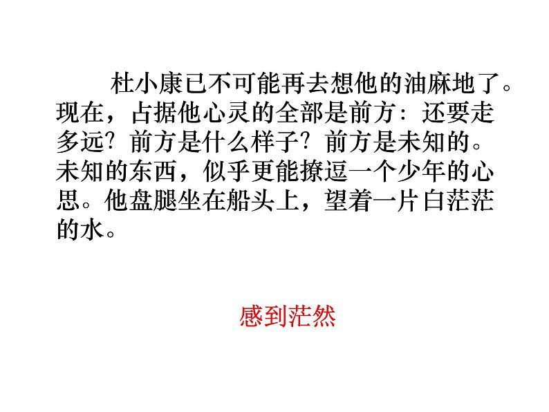 （2020年秋）人教版九年级上语文第17课  孤独之旅 课件教案练习05