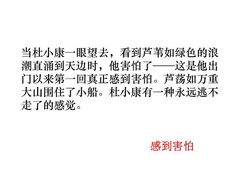 （2020年秋）人教版九年级上语文第17课  孤独之旅 课件教案练习06