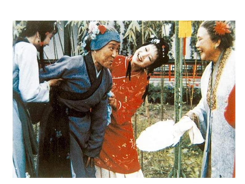 （2020年秋）人教版九年级上语文第25课  刘姥姥进大观园 课件教案练习03