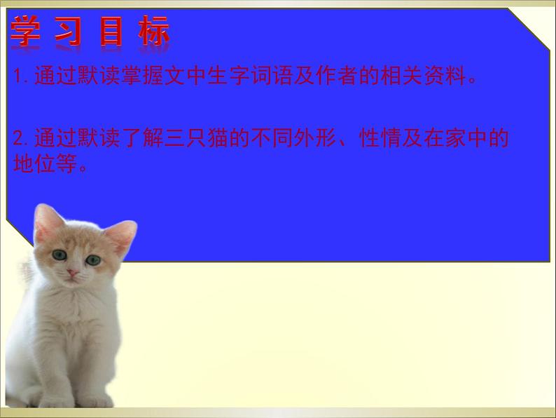 猫优质课课件第4页