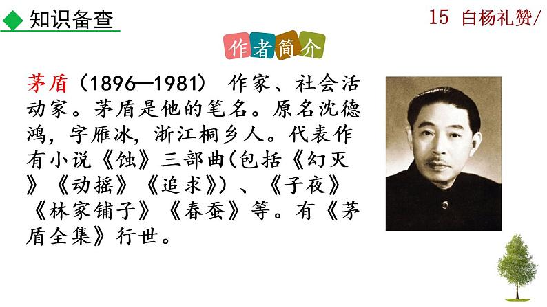 15《白杨礼赞》课件04
