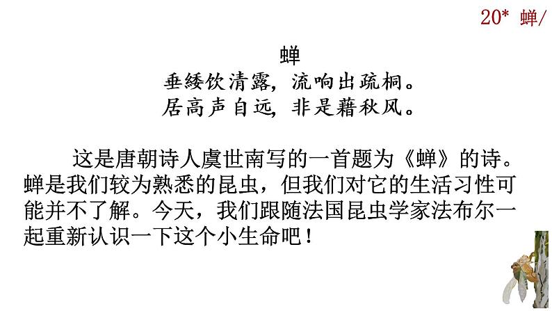 21《蝉》课件01