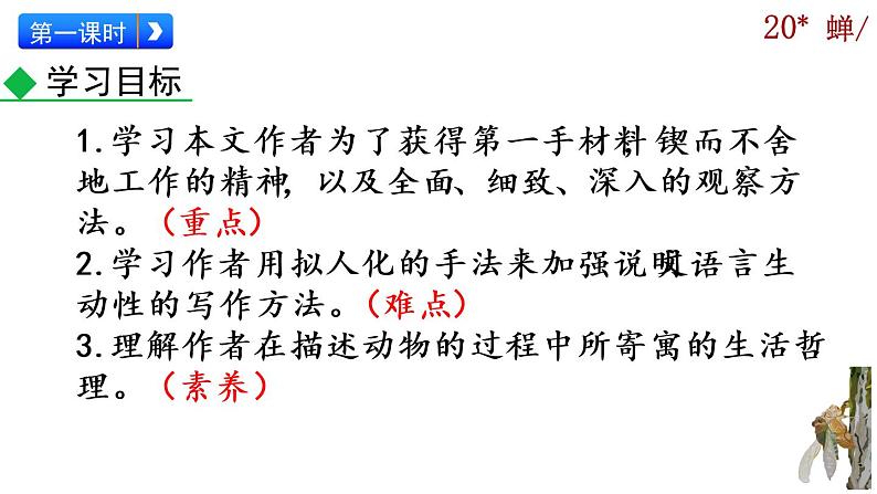 21《蝉》课件03