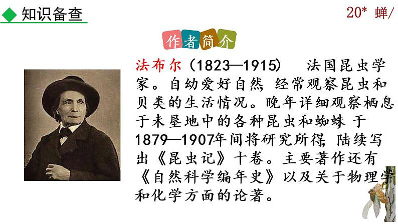 21《蝉》课件04