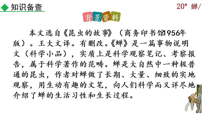 21《蝉》课件05