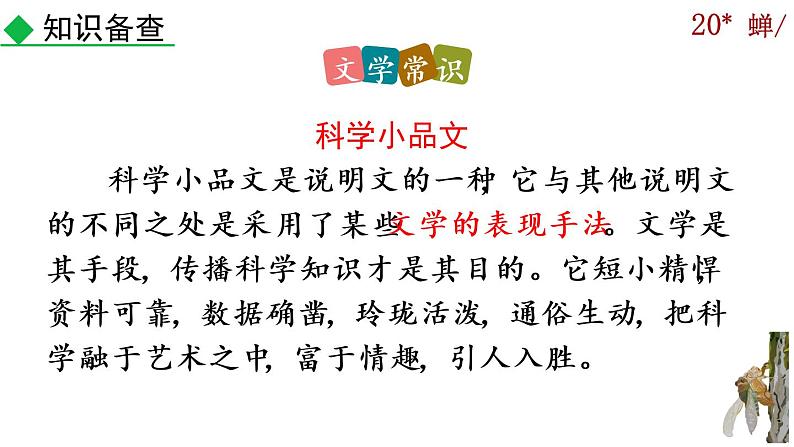 21《蝉》课件06