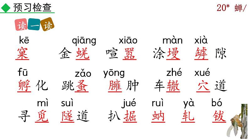 21《蝉》课件08