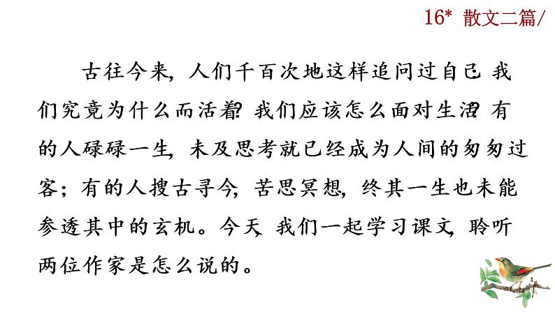 16《散文二篇》课件01