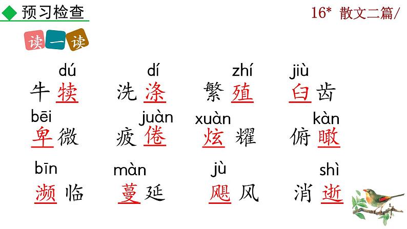 16《散文二篇》课件04