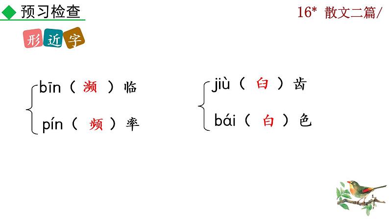 16《散文二篇》课件06