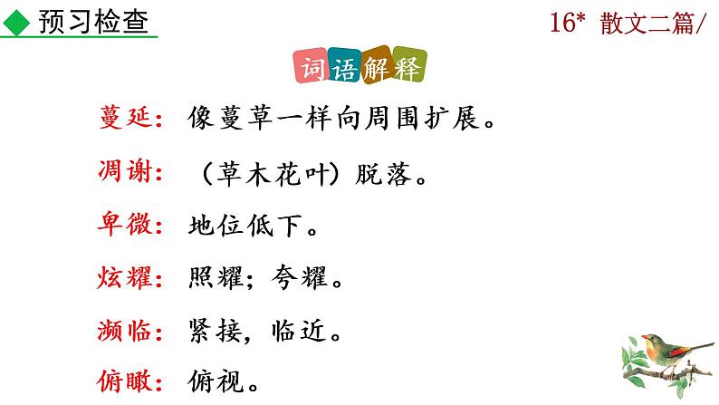 16《散文二篇》课件07