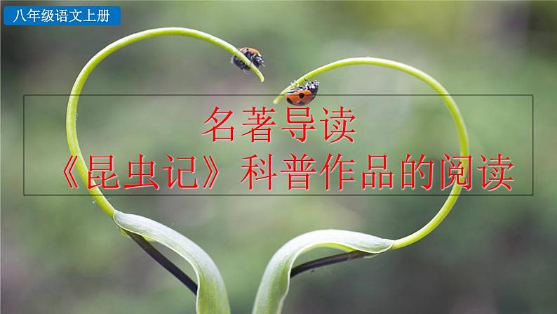 名著导读 《昆虫记》科普作品的阅读.课件01