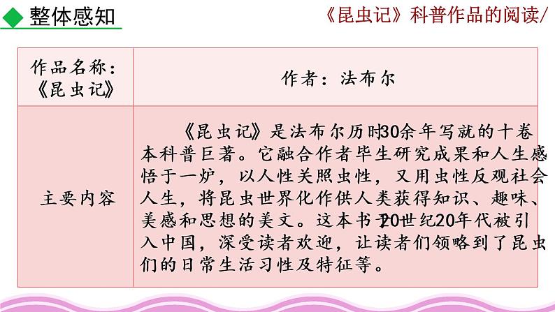 名著导读 《昆虫记》科普作品的阅读.课件02