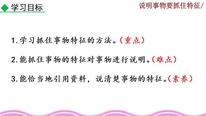 《写作 说明事物要抓住特征》课件02