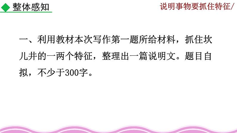 《写作 说明事物要抓住特征》课件03