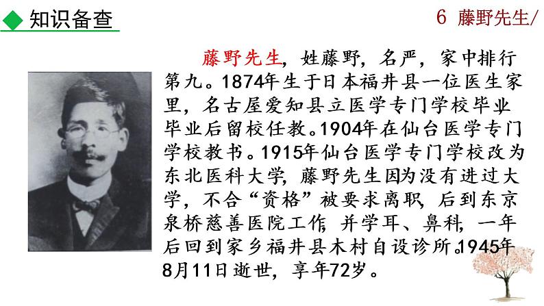 6《藤野先生》课件06