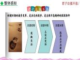 部編版語文九年級上冊：第二單元《綜合性學(xué)習(xí) 君子自強不息》課件
