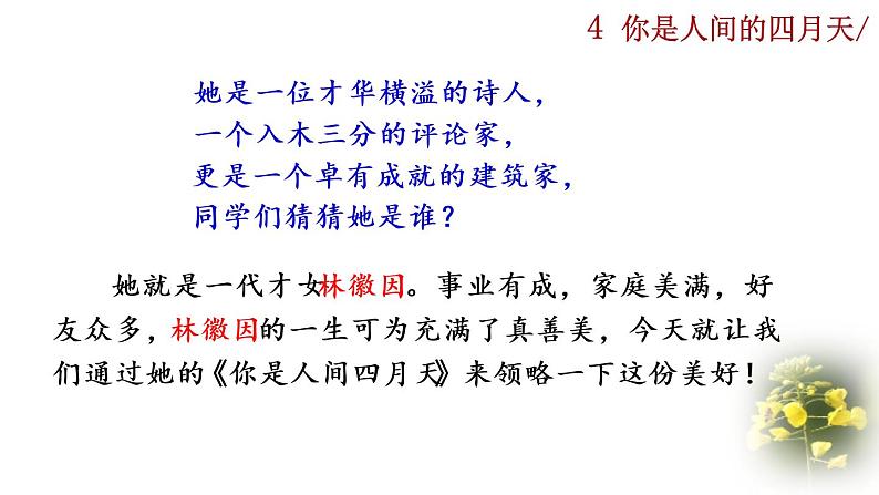 部编版语文九年级上册：5《你是人间的四月天》课件+音频素材01