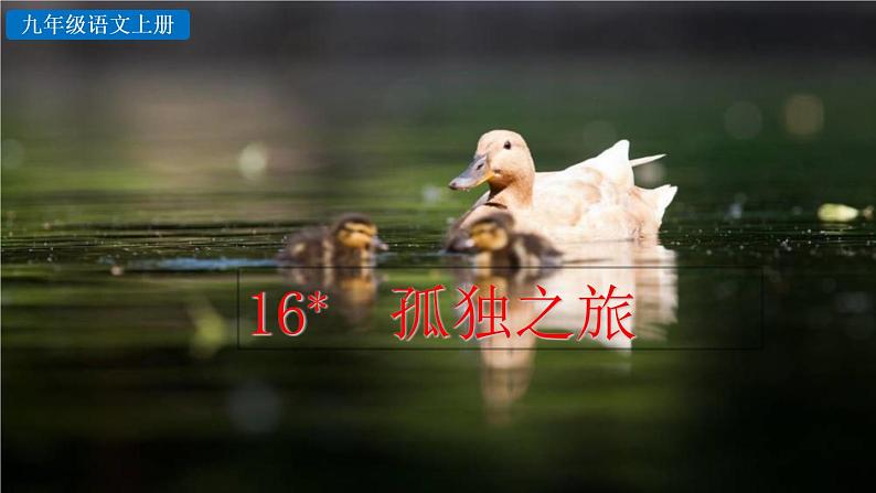 部编版语文九年级上册：17《孤独之旅》课件+音频素材03