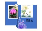 语文课件爱莲说PPT课件(共23张PPT)