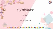 语文八年级下册5 大自然的语言评课课件ppt