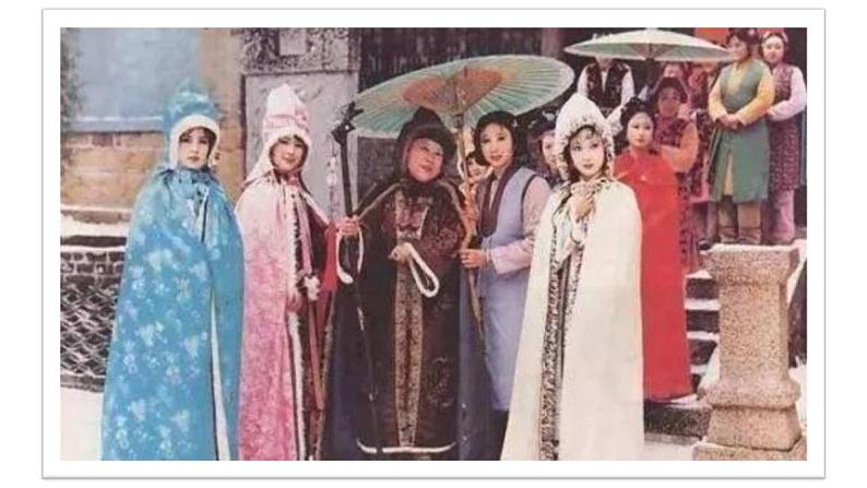 人教部编版语文九年级上册第24课《刘姥姥进大观园》 课件(共35张PPT)07