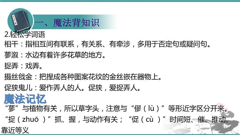 人教部编版 语文九年级上册 第25课《刘姥姥进大观园》课件（21张PPT)04