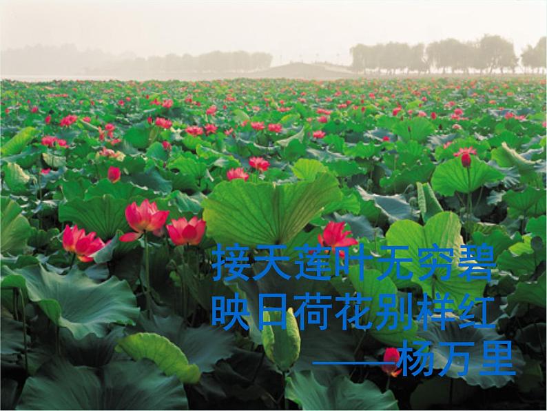 12《湖心亭看雪》PPT课件04