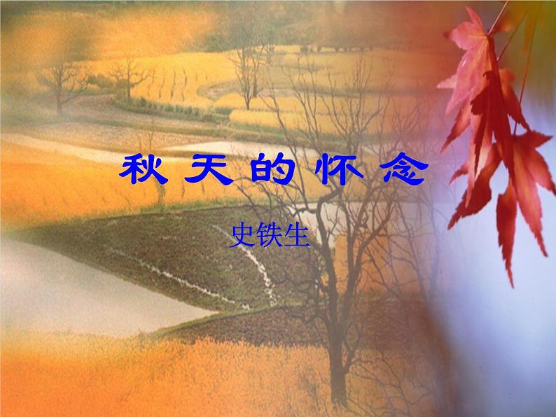 5.《秋天的怀念》课件01