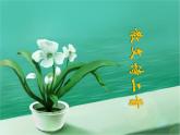 7.《散文詩二首》課件