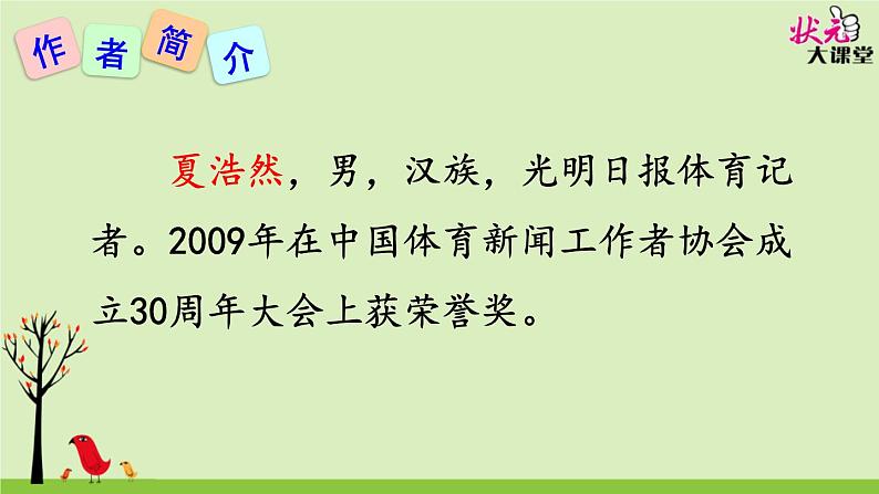3 “飞天”凌空——跳水姑娘吕伟夺魁记 八上语文PPT课件08