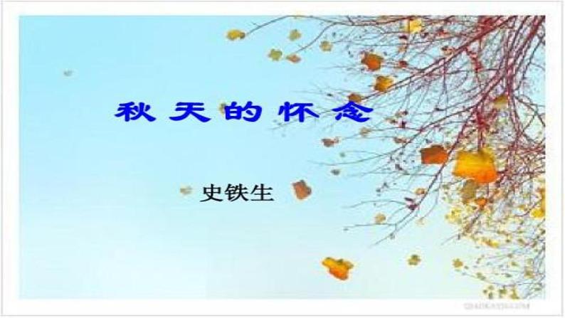 部编版语文七年级上第二单元5《秋天的怀念》课件01