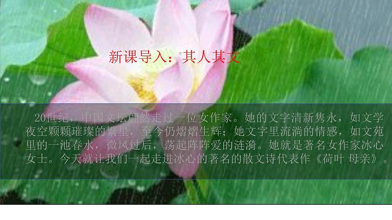人教版部编版七年级语文上册：7 散文诗二《 荷叶·母亲》课件03