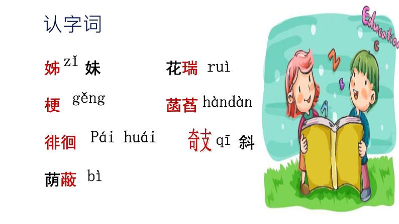 人教版部编版七年级语文上册：7 散文诗二《 荷叶·母亲》课件06