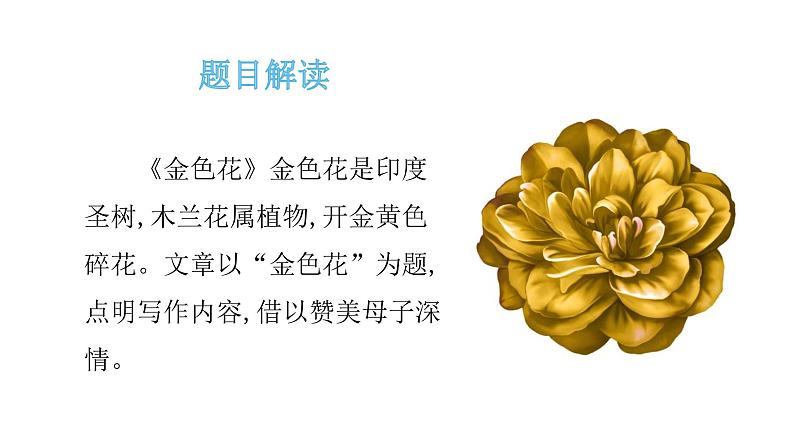 7  散文诗二首《金色花》 课件02