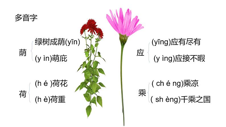 7  散文诗二首 《荷叶・母亲》 课件07