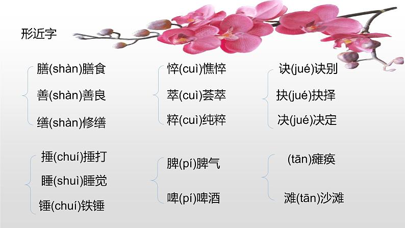 人教部编版七年级语文上册5秋天的怀念 课件08