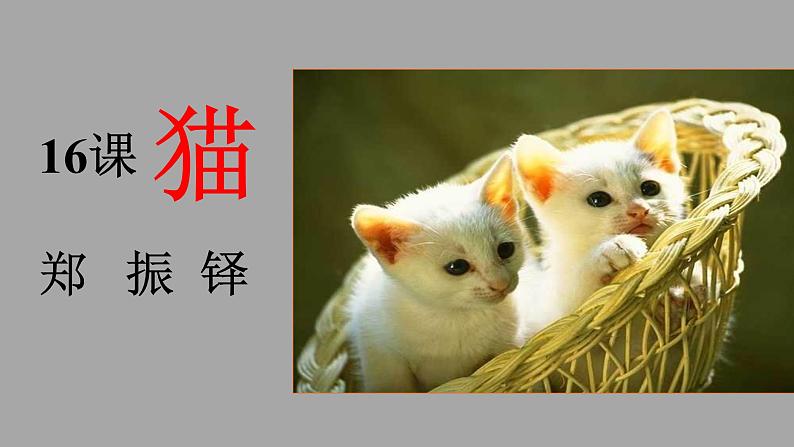 人教部编版七年级语文上册16猫课件第1页