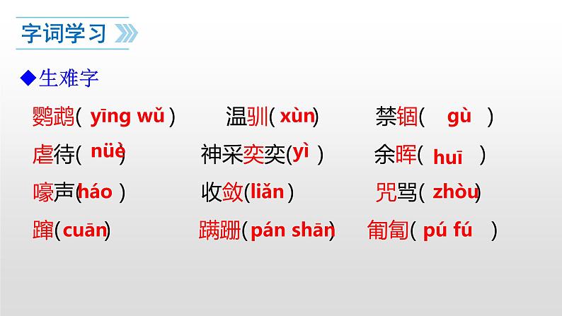 人教部编版七年级语文上册17动物笑谈 课件05