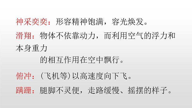 人教部编版七年级语文上册17动物笑谈 课件08