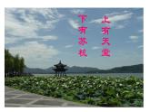13唐诗五首《钱塘湖春行》 课件
