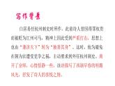 13唐诗五首《钱塘湖春行》 课件