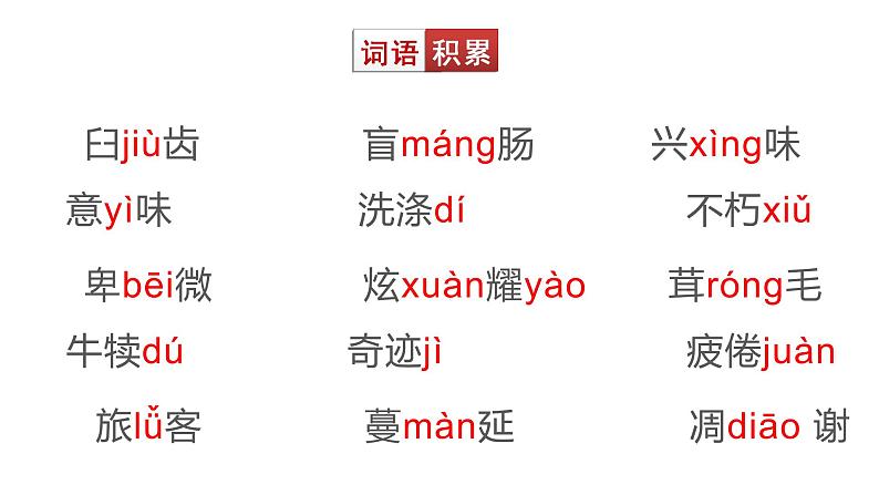 15散文两篇《永久的生命》 课件06