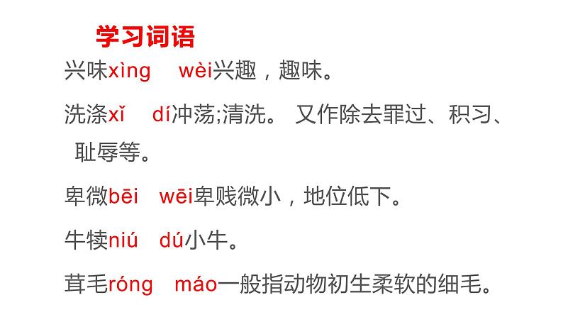 15散文两篇《永久的生命》 课件08